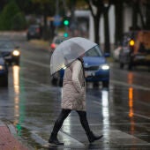 Una mujer pasea bajo la lluvia