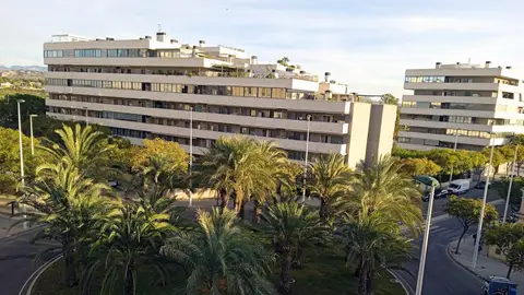 Elche. Elche.