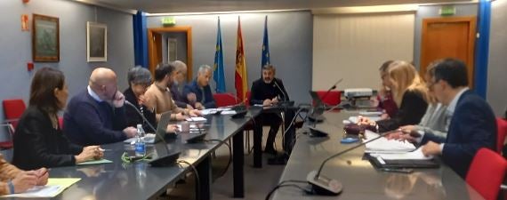 Asturias prorroga la tarifa plana el próximo año Asturias prorroga la tarifa plana el próximo año
