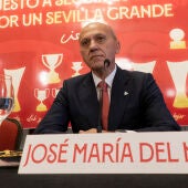 El expresidente del Sevilla José María del Nido Benavente