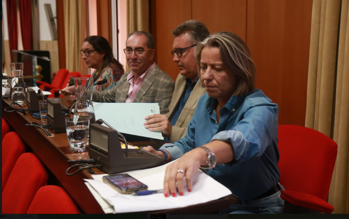 PP y Cs aprueban las ordenanzas para 2023 de forma definitiva con el concejal no adscrito y la abstención de Vox PP y Cs aprueban las ordenanzas para 2023 de forma definitiva con el concejal no adscrito y la abstención de Vox