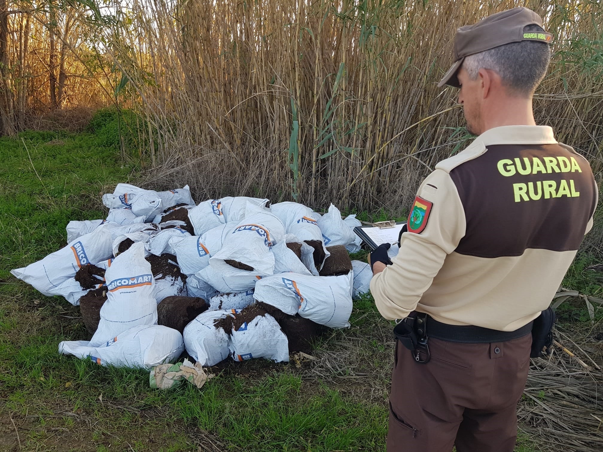 Aparecen restos de más de 100 plantas de marihuana en sacos en el Paisaje de la Desembocadura del Mijares Aparecen restos de más de 100 plantas de marihuana en sacos en el Paisaje de la Desembocadura del Mijares