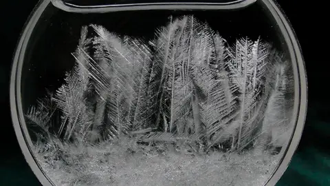 Cristal de tormenta Un aparato meteorológico decorativo