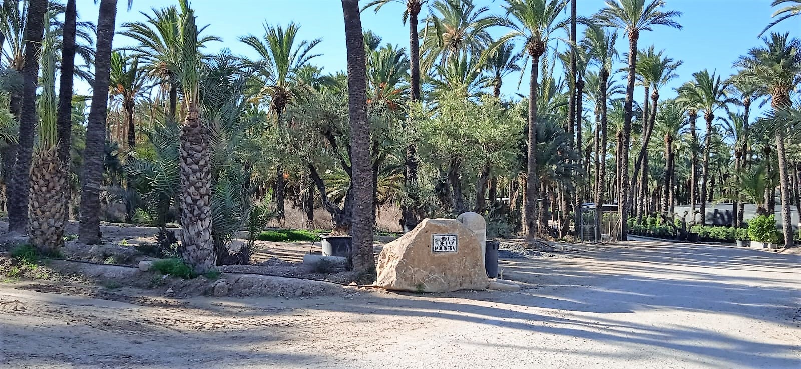 Este jueves en Elche, Crevillent y Santa Pola: predominio aún de sol aunque comienzan a llegar nubes Este jueves en Elche, Crevillent y Santa Pola: predominio aún de sol aunque comienzan a llegar nubes
