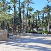 Huerto de la Molinera de Elche. 