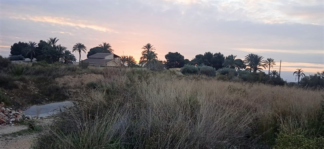 El sol irá ganando terreno a las nubes para quedar una tarde de cielo despejado en Elche, Crevillent y Santa Pola El sol irá ganando terreno a las nubes para quedar una tarde de cielo despejado en Elche, Crevillent y Santa Pola
