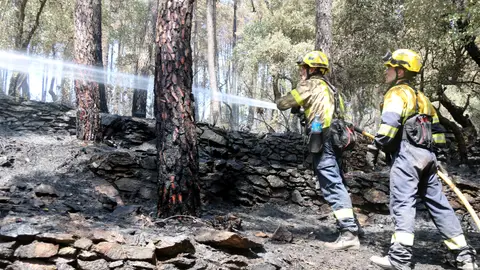 Dos bombers treballen en les tasques d’extinció d’un foc a les Gavarres. Dos bombers treballen en les tasques d’extinció d’un foc a les Gavarres.