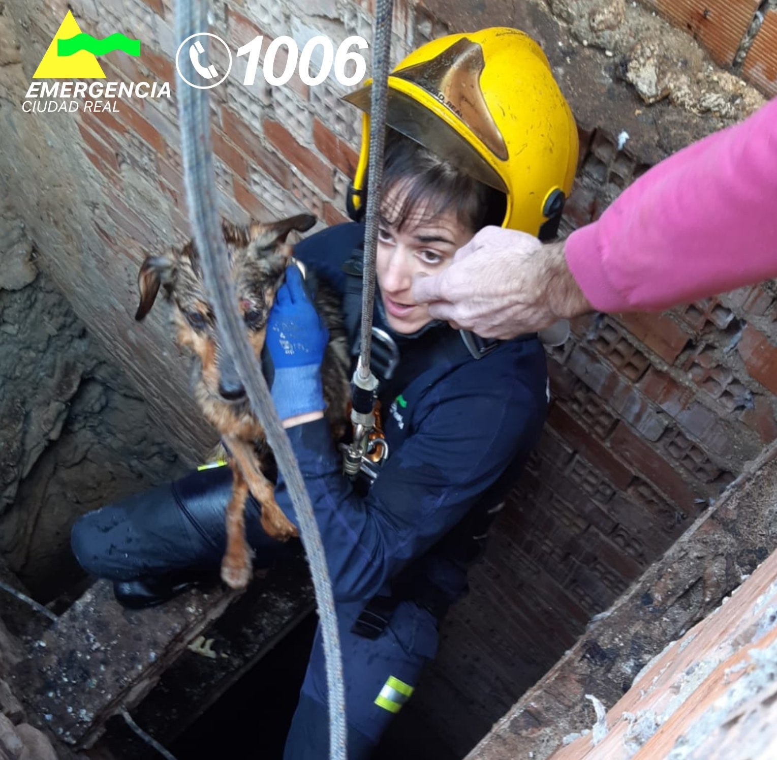 Rescatan a un perro atrapado en un pozo a 10 metros de profundidad en Valdepeñas Rescatan a un perro atrapado en un pozo a 10 metros de profundidad en Valdepeñas