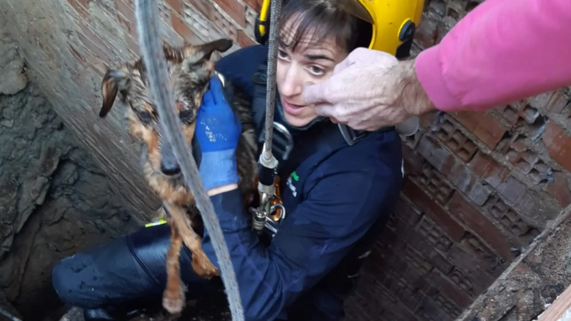 Momento en el que los bomberos rescatan al perro