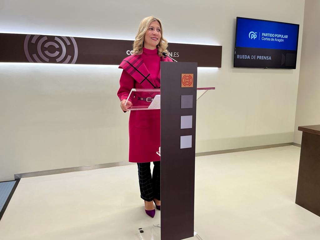 El PP considera muy graves las irregularidades detectadas El PP considera muy graves las irregularidades detectadas