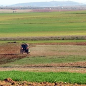 Campo Campo