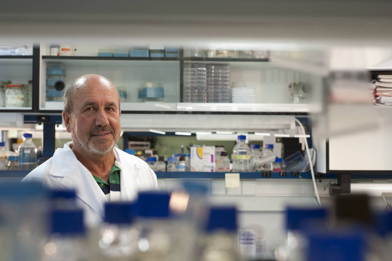 Mariano Esteban, "gracias al programa de vacunación masiva tenemos resistencia al COVID" Mariano Esteban, "gracias al programa de vacunación masiva tenemos resistencia al COVID"