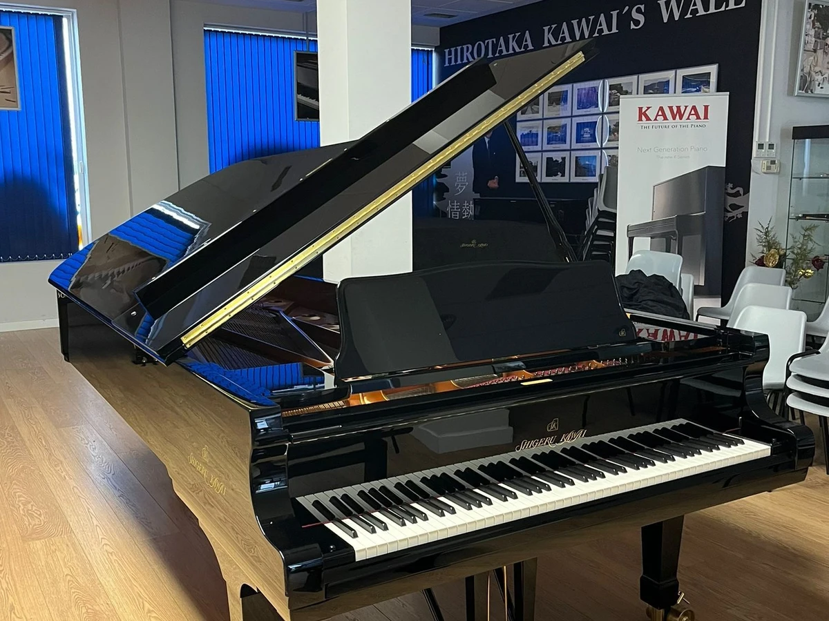 Cultura Torrevieja adquiere un piano de gran cola para conciertos en el auditorio | Cero Radio