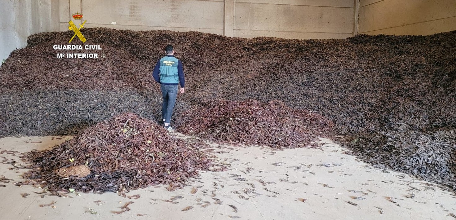 Detenidas 29 personas por robar más de 64.000 kilos de algarroba Detenidas 29 personas por robar más de 64.000 kilos de algarroba