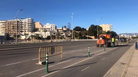 Las obras del Paseo Marítimo de Palma eliminarán 700 plazas de aparcamiento.