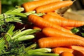 Día Mundial de las zanahorias con Segovia Educa en Verde Día Mundial de las zanahorias con Segovia Educa en Verde