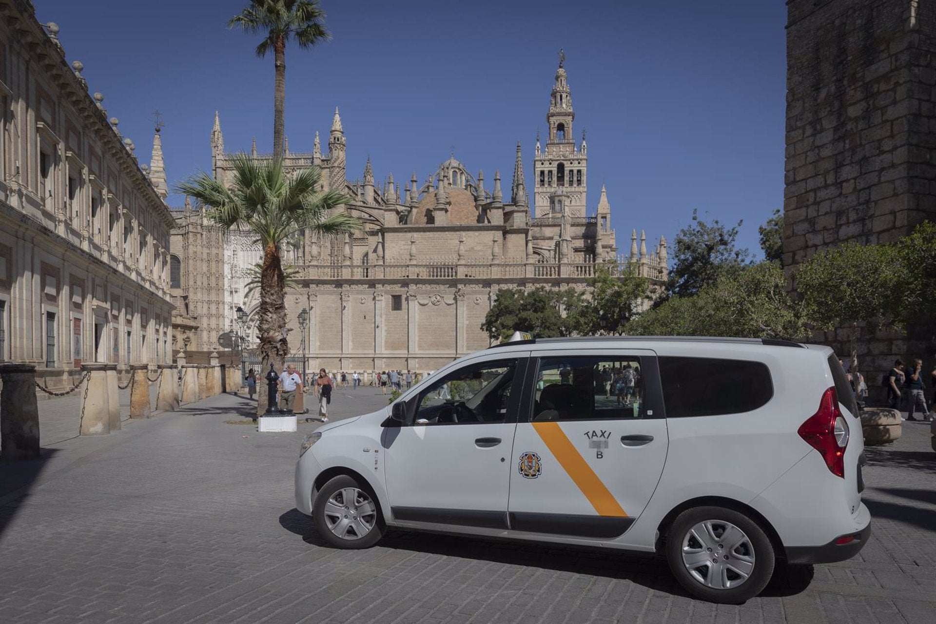 La flota íntegra del taxi podrá trabajar todo el año desde las 19,00 horas para cubrir la agenda nocturna La flota íntegra del taxi podrá trabajar todo el año desde las 19,00 horas para cubrir la agenda nocturna