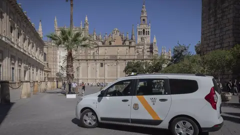 La flota íntegra del taxi podrá trabajar todo el año desde las 19,00 horas para cubrir la agenda nocturna La flota íntegra del taxi podrá trabajar todo el año desde las 19,00 horas para cubrir la agenda nocturna