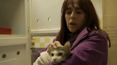 Adopta en JELO: Lírica busca un nuevo hogar Adopta en JELO: Lírica busca un nuevo hogar