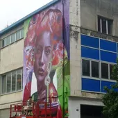 Nexgraff Nexgraff