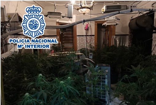 La Policía Nacional desarticula en Elda un punto de venta de estupefacientes al menudeo La Policía Nacional desarticula en Elda un punto de venta de estupefacientes al menudeo