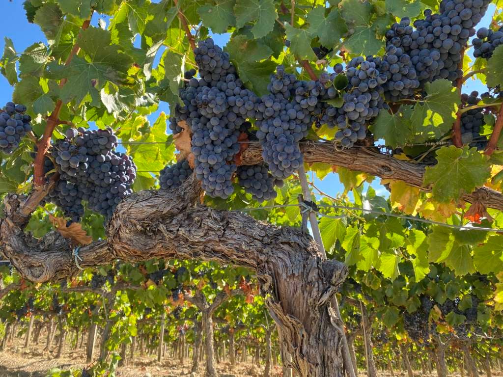 Los costes limitan el margen de beneficio pese al récord de ventas Los costes limitan el margen de beneficio pese al récord de ventas