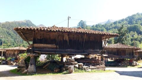 H&oacute;rreos en buen estado en Espinaredo (Pilo&ntilde;a)
