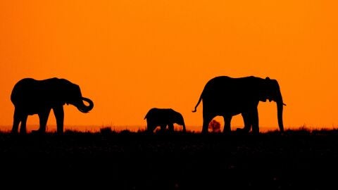 NAMIBIA