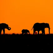 NAMIBIA NAMIBIA
