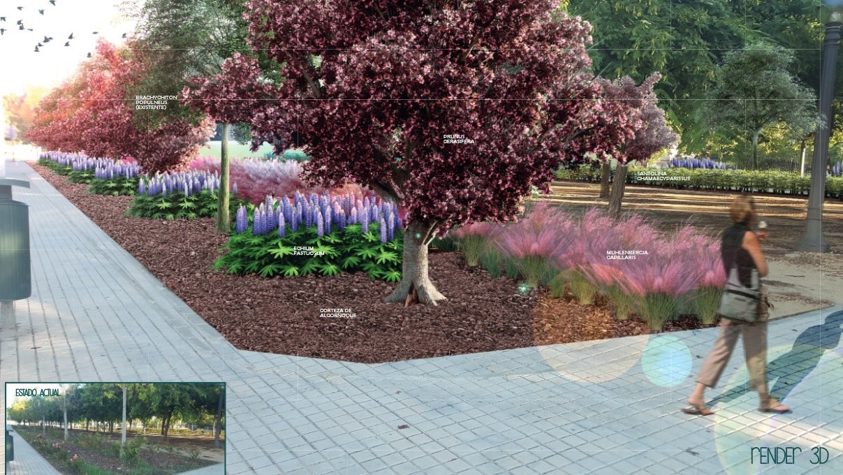 La Avenida Ramón Pastor de Elche, lista para ser renovada a partir de la semana que viene La Avenida Ramón Pastor de Elche, lista para ser renovada a partir de la semana que viene