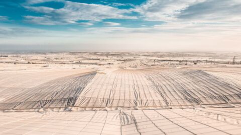 Invernaderos en Almer&iacute;a