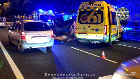 Momento en el que los servicios de emergencia intentan reanimar al peatón atropellado