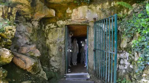 Visitas experimentales a Altamira Visitas experimentales a Altamira