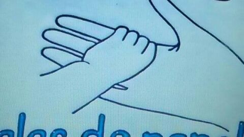 Asociaci&oacute;n de Personas con Discapacidad Intelectual y del Desarrollo "Alas de Papel", logotipo antoguo