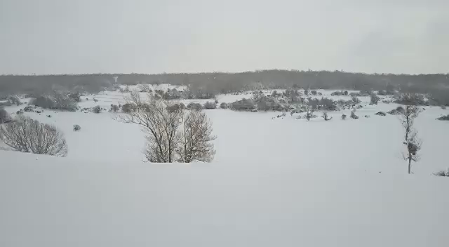 VÍDEO La nieve cubre la localidad de Verdeña VÍDEO La nieve cubre la localidad de Verdeña