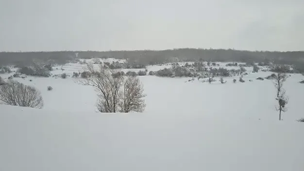 V&Iacute;DEO La nieve cubre la localidad de Verde&ntilde;a