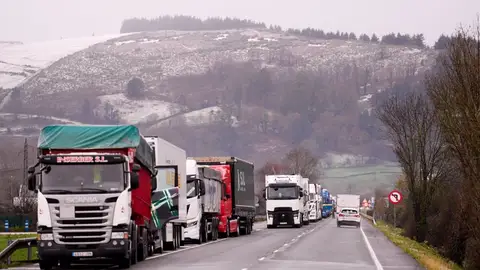 Camiones Molledo Camiones Molledo