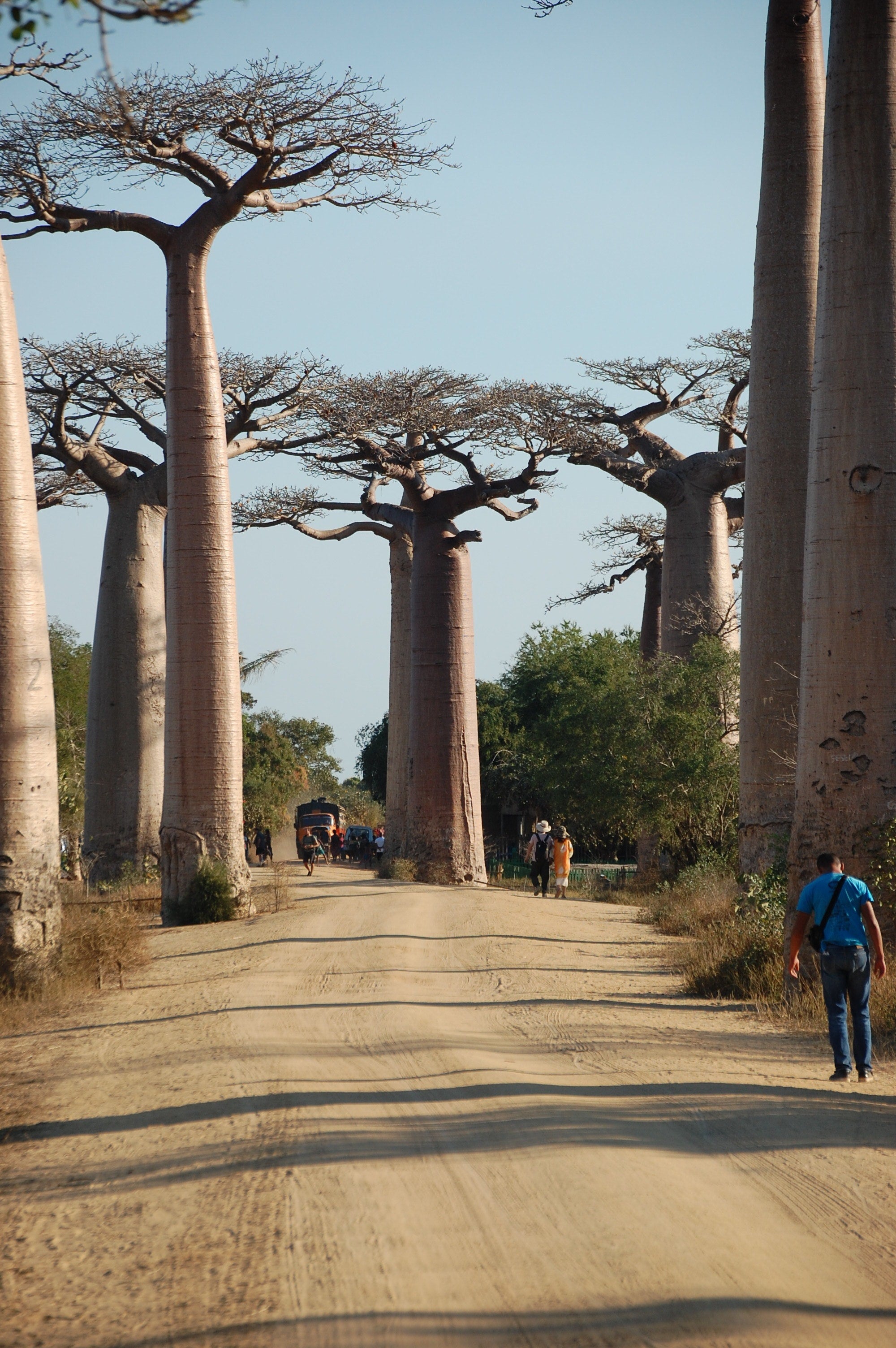 Aparici en órbita: Madagascar, el séptimo continente Aparici en órbita: Madagascar, el séptimo continente