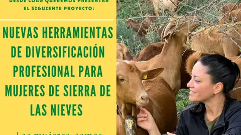 EL DESTACADO DE MÁS DE UNO MARBELLA EL DESTACADO DE MÁS DE UNO MARBELLA