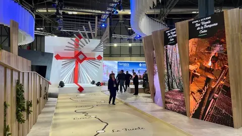 fitur fitur