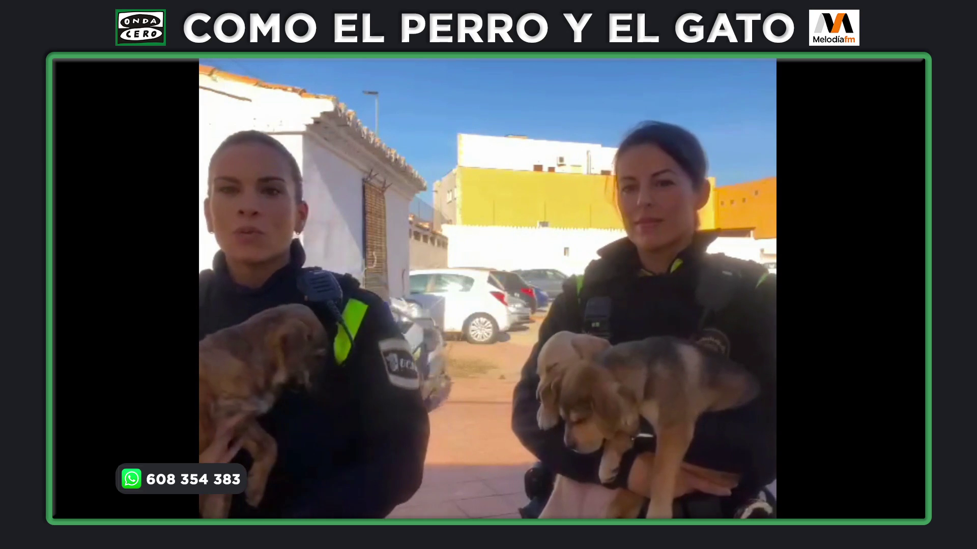 Dos Policías Locales de La Vall d'Uixó rescatan a 3 cachorros tirados a la basura Dos Policías Locales de La Vall d'Uixó rescatan a 3 cachorros tirados a la basura