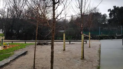 O Concello de Ourense planta novas árbores no entorno remodelado de Oira O Concello de Ourense planta novas árbores no entorno remodelado de Oira