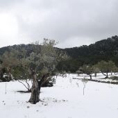 Manto de nieve en Mallorca a mediados de enero de 2023