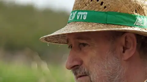 Paco Sanz Xuquer Viu Paco Sanz Xuquer Viu