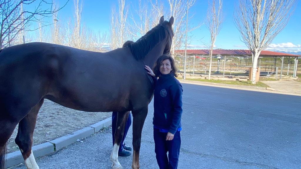 Los caballos: curiosidades, historia y todos los detalles de estos animales Los caballos: curiosidades, historia y todos los detalles de estos animales