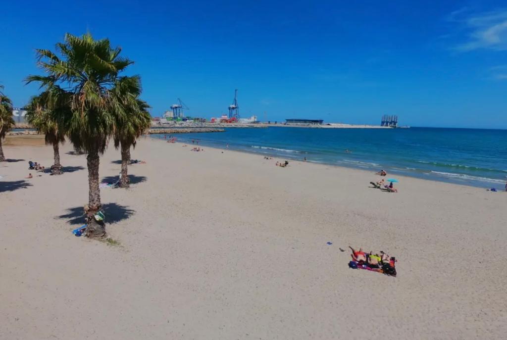 Los vecinos del Parque del Mar de Alicante desconfían del anuncio de retirar las vías del entorno Los vecinos del Parque del Mar de Alicante desconfían del anuncio de retirar las vías del entorno