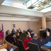 Pleno Diputación de Segovia
