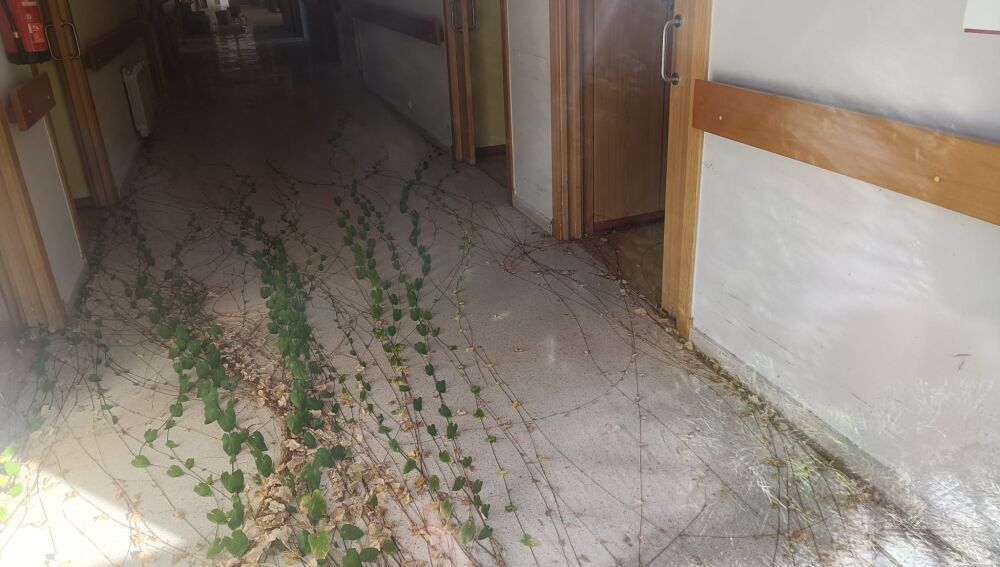 BNG denuncia abandono residencia A Bola