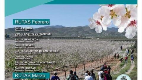 floracion almendro