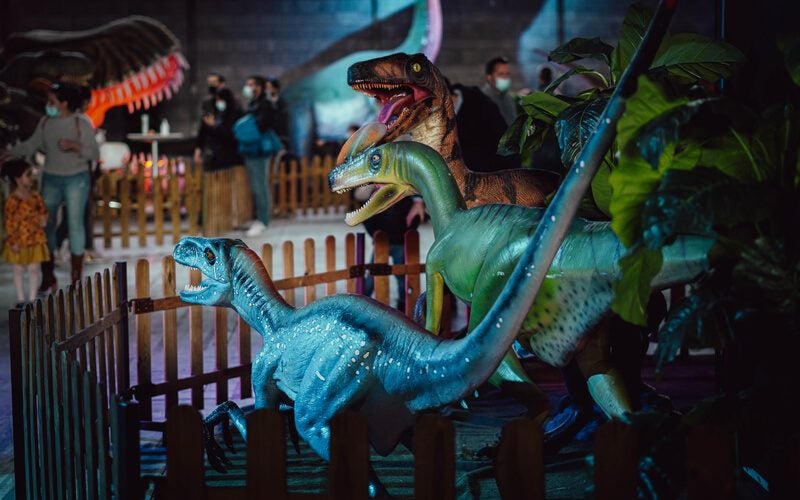 Ciudad Real acoge una exposición de dinosaurios a tamaño real en el pabellón IFEDI Ciudad Real acoge una exposición de dinosaurios a tamaño real en el pabellón IFEDI